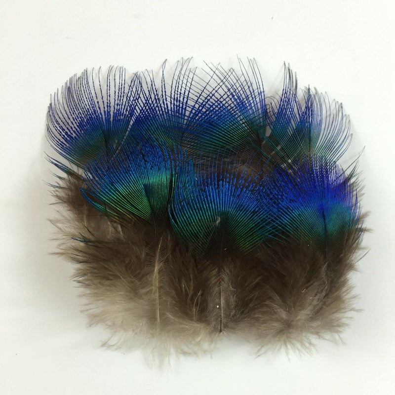Sowder 50pcs Blue Peacock Plumage Feathers 1-3 Inches Home Wedding Decoration - Image 3